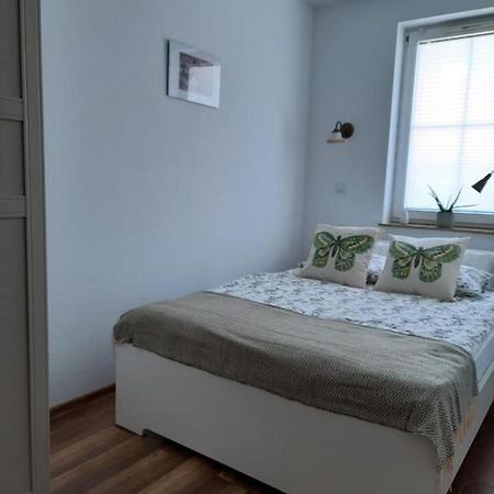 Apartament Felina Świeradów-Zdrój Eksteriør billede