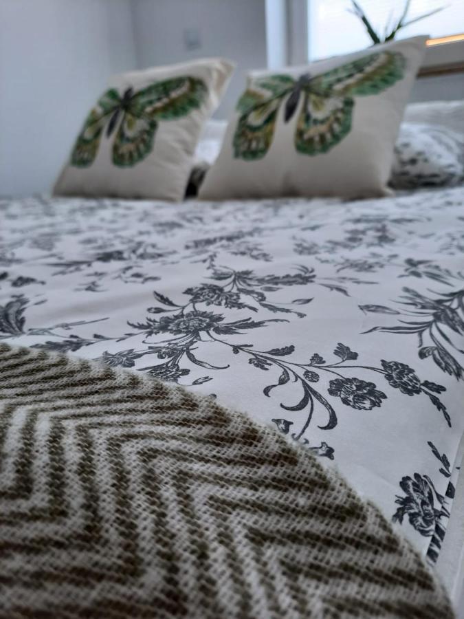 Apartament Felina Świeradów-Zdrój Eksteriør billede