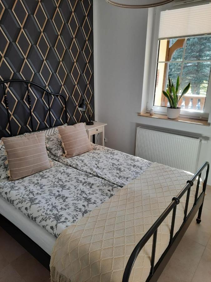 Apartament Felina Świeradów-Zdrój Eksteriør billede